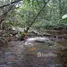  Terrain for sale in Presidente Figueiredo, Amazonas, Presidente Figueiredo