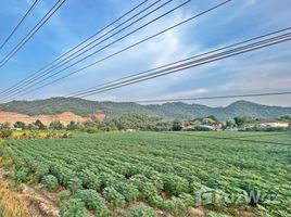  Land for sale in Mueang Chon Buri, Chon Buri, Mueang, Mueang Chon Buri