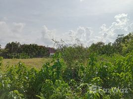  Land for sale in Badung, Bali, Canggu, Badung