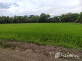  Terrain for sale in Nonthaburi, Sai Noi, Nonthaburi