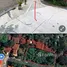 ขายที่ดิน ใน เกาะสมุย, สุราษฎร์ธานี, มะเร็ต, เกาะสมุย