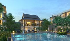 Photo 3 of the Communal Pool at Natura Green Residence