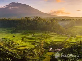 在里岛出售的 土地, Karangasem, Karangasem, 里岛