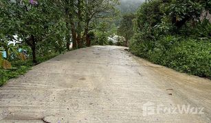 N/A Grundstück zu verkaufen in Pong Yaeng, Chiang Mai 