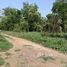  Land for sale in Khlong Luang, Pathum Thani, Khlong Ha, Khlong Luang