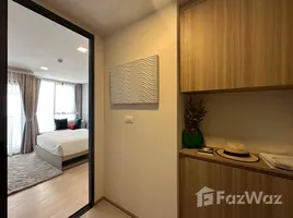 Studio Condo for rent at The Base Rise, Wichit, Phuket Town, Phuket, Thailand