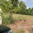  Land for sale in Wang Thong, Phitsanulok, Wang Thong, Wang Thong