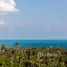 5 Bedroom Villa for sale in Bo Phut, Surat Thani, Bo Phut, Koh Samui, Surat Thani, Thailand