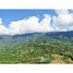  Land for sale in Costa Rica, Osa, Puntarenas, Costa Rica