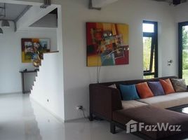 3 Bedrooms House for sale in Pa Pong, Chiang Mai Modern House with Panoramic Rice Paddy View