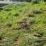 Grundstück zu verkaufen im Cerro Verde, San Felipe De Puerto Plata