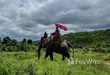 Hutsadin Elephant Foundation