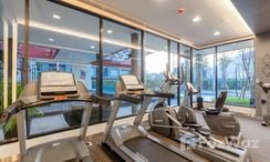 图片 2 of the Communal Gym at D Condo Kathu-Patong