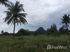  Grundstück zu verkaufen in Pran Buri, Prachuap Khiri Khan, Pran Buri