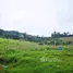  Land for sale in Colombia, Medellin, Antioquia, Colombia