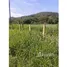  Land for sale in Guanacaste, Nicoya, Guanacaste