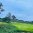  Land for sale in Tham, Kanthararom, Tham