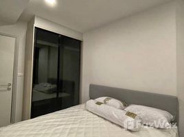 คอนโด 1 ห้องนอน ให้เช่า ในโครงการ ควินทารา ทรีเฮาส์ สุขุมวิท 42, พระโขนง