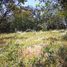  Land for sale in Tilaran, Guanacaste, Tilaran