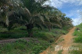  bedroom Land for sale at in Perak, Malaysia