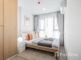 คอนโด 1 ห้องนอน ให้เช่า ในโครงการ แอสปาย อ่อนนุช สเตชั่น, พระโขนง