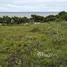  Terreno (Parcela) en venta en Kodi, East Nusa Tenggara, Kodi
