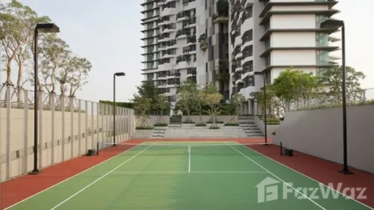 Photos 1 of the Tennis Court at The Pano Rama3