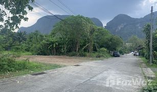 N/A Grundstück zu verkaufen in Thai Chang, Phangnga 