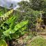 2 Schlafzimmer Haus zu vermieten in Ecuador, Yangana Arsenio Castillo, Loja, Loja, Ecuador