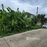  Земельный участок for sale in Bang Toei, Nakhon Pathom, Bang Toei
