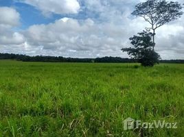  Land for sale in Brazil, Silves, Silves, Amazonas, Brazil