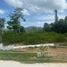  Land for sale in Lipa Noi, Surat Thani, Lipa Noi, Koh Samui