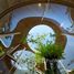 4 Bedroom House for rent in Chomphon, Bangkok, Chomphon, Chatuchak