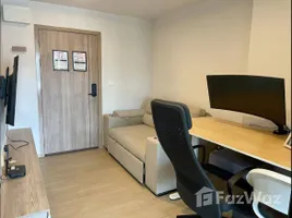 อพาร์ทเม้นท์ 1 ห้องนอน ให้เช่า ในโครงการ ดิ เอ็กเซล ไฮด์ อะเวย์ สุขุมวิท 71, พระโขนงเหนือ