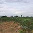  Land for sale in Chachoengsao, Khao Hin Son, Phanom Sarakham, Chachoengsao