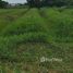  Land for sale in Sam Phran, Nakhon Pathom, Yai Cha, Sam Phran