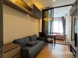 คอนโด 1 ห้องนอน ให้เช่า ในโครงการ ไนท์บริดจ์ ไพร์ม อ่อนนุช, พระโขนงเหนือ, วัฒนา