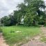  Земельный участок for sale in Pru Yai, Накхон Ратчасима, Pru Yai, Mueang Nakhon Ratchasima