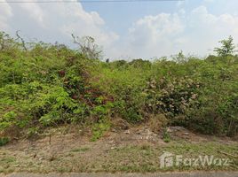  Land for sale in Chachoengsao, Wang Yen, Plaeng Yao, Chachoengsao