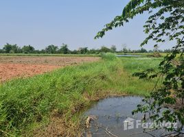  Terrain for sale in Thaïlande, Tha Sut, Mueang Chiang Rai, Chiang Rai, Thaïlande