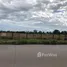  Land for rent in Argentina, Comandante Fernandez, Chaco, Argentina