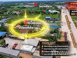  Grundstück zu verkaufen in Bo Ta Lo, Phra Nakhon Si Ayutthaya, Bo Ta Lo, Wang Noi, Phra Nakhon Si Ayutthaya, Thailand