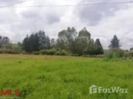  Land for sale in Guarne, Antioquia, Guarne