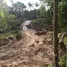  Grundstück zu verkaufen in Ko Pha-Ngan, Surat Thani, Ko Pha-Ngan, Ko Pha-Ngan