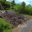  Land for sale in Bali, Kuta, Badung, Bali