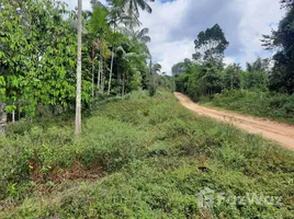  Grundstück zu verkaufen in Maues, Amazonas, Maues, Amazonas