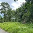  Land for sale in Koh Samui Surat Thani, Lipa Noi, Koh Samui