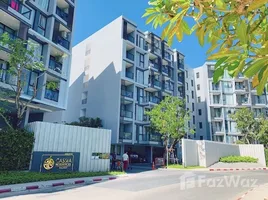 อพาร์ทเม้นท์ 2 ห้องนอน ให้เช่า ในโครงการ แคสเซีย เรสซิเดนซ์ ภูเก็ต, เชิงทะเล