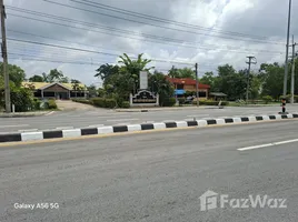 ขายที่ดิน ใน หนองไผ่, อุทัยธานี, หนองไผ่, หนองขาหย่าง, อุทัยธานี, ไทย