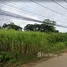  Terrain for sale in Phitsanulok, Wat Chan, Mueang Phitsanulok, Phitsanulok